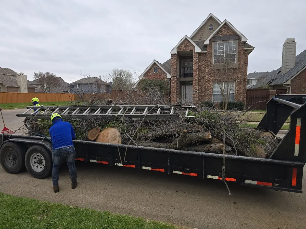 Expert Tree Fertilization with proper safety equipment in Tuba City